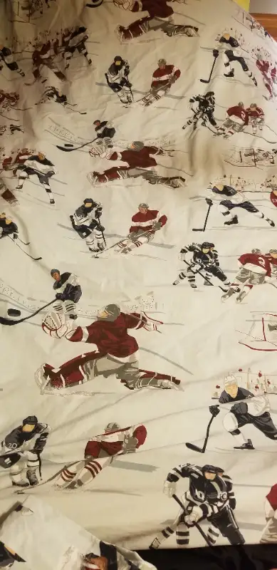 Reduced! Pottery Barn Twin Organic Hockey Duvet Cover, View more