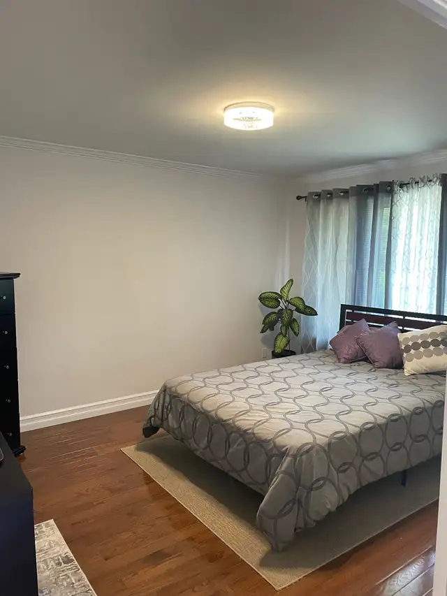 Premier painting and Decorating in Painters & Painting in Oshawa / Durham Region - Image 8