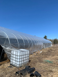 Green house/ tarp shed 