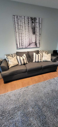 Grey Couch 