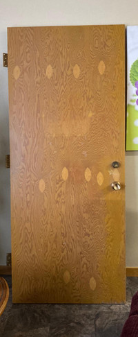 Hollow Core Oak Wood Door