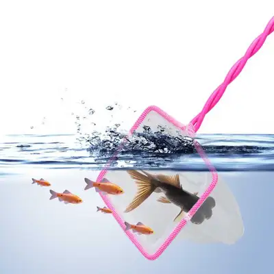 Aquarium fish net, View more