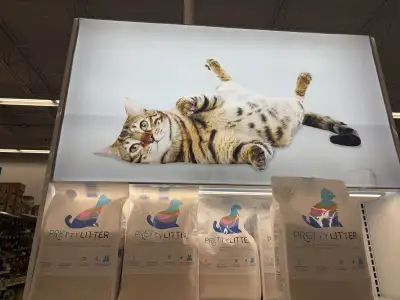 hiring live in nanny with childcare and cleaning, View more