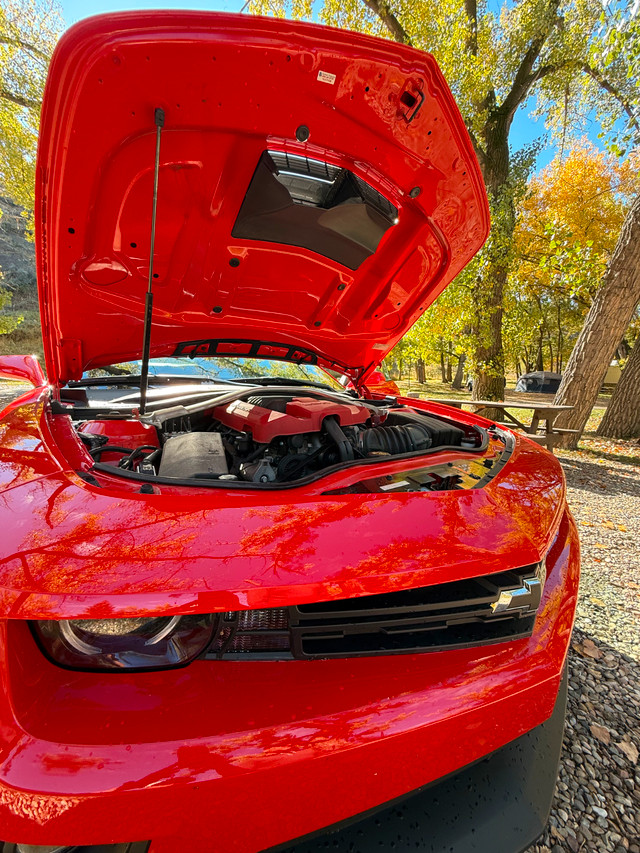 selling car in Cars & Trucks in Calgary - Image 4