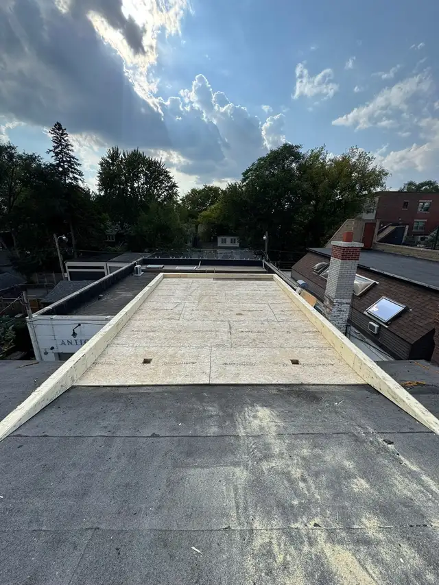 Experienced Framer/ Carpenter 548407826470021123