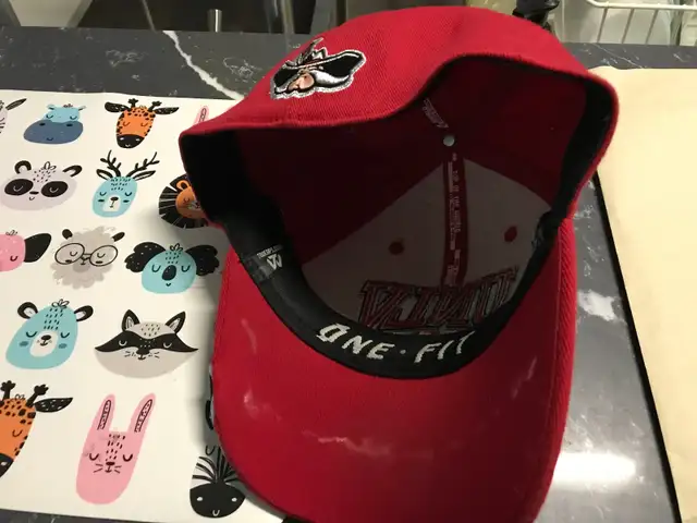 UNLV Rebels hat in Men's in City of Toronto - Image 4