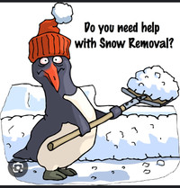 Snow removal 