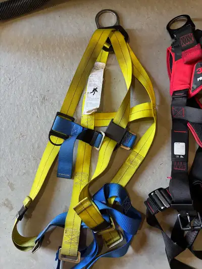safety harness for sale $80  for both, View more