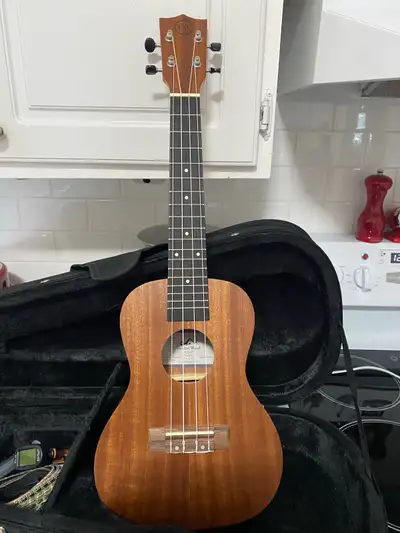Selling like brand new Ukulele, twisted wood brand bought at Franks Mysic Center, has case, tuner, m...
