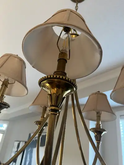 Elegant 5-Light Brass Chandelier w/ Shades, View more