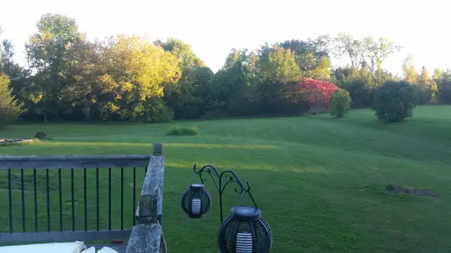 ROOM TO RENT AVAIL IMMEDIATELY in Long Term Rentals in Peterborough - Image 7