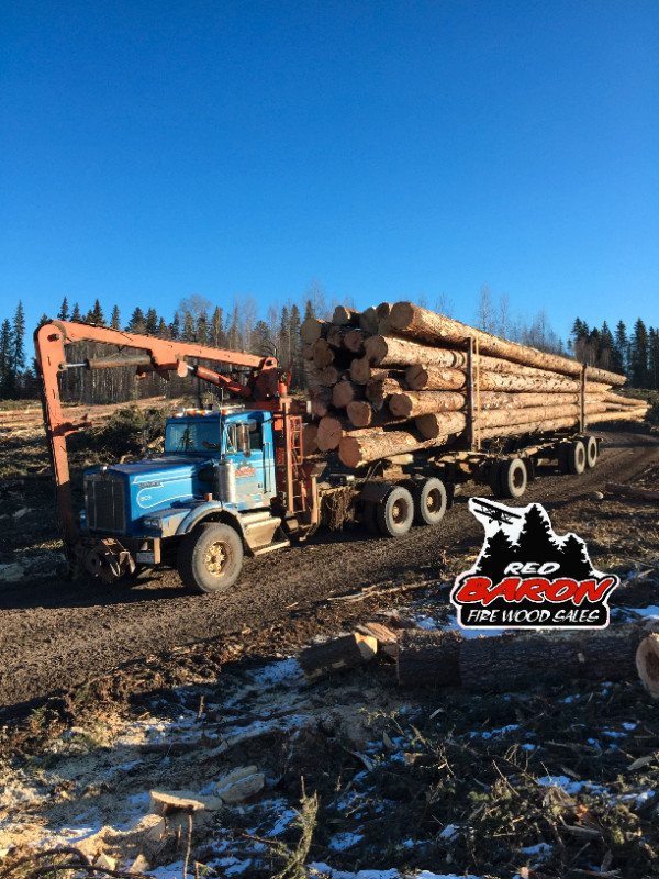Log Truck Loads and Processed Firewood in Fireplace & Firewood in Edmonton
