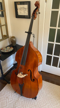 Double Bass + Case, Buggie, Xtra Strings, Mods, Stand