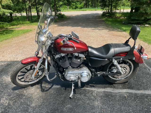 2009 Harley Davidson Sportster low 1200cc in Sport Touring in Sault Ste. Marie - Image 2