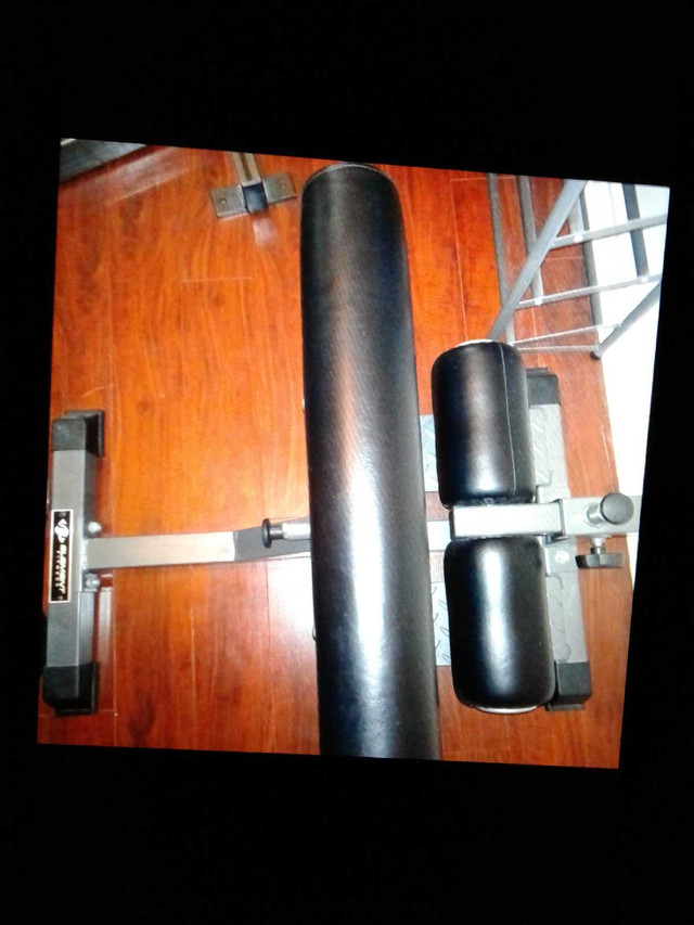 Deep squat apparatus (sissy squat): for trade or best offer  in Exercise Equipment in City of Toronto