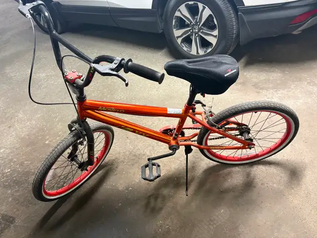 20’ bicycle529839419242598403