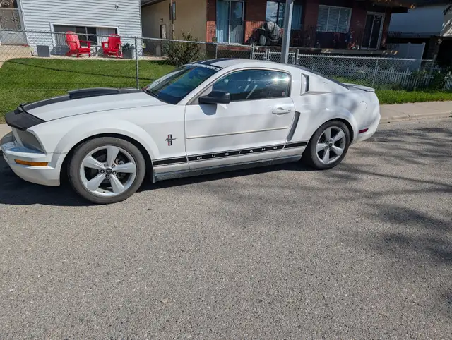 2007 V6 Mustang552033490337146884