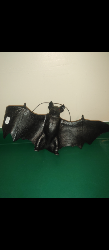 VAMPIRE BAT - FLYING BAT DISPLAY, View more
