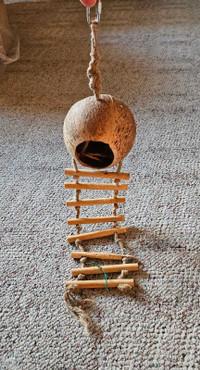 Coconut shell bird nest / toy