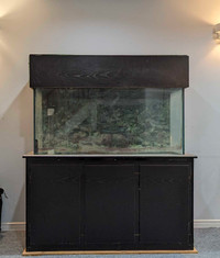 90 Gallon Sump Aquarium with Cabinet and Pump $300