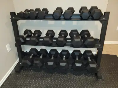 Commercial Dumbbell Set (5–50 lbs) + Steel Rack, View more