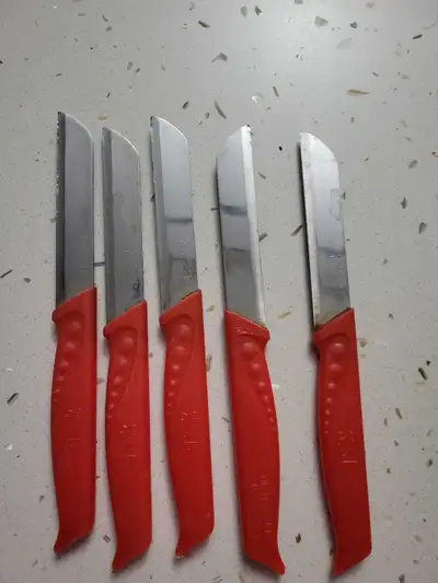 $1 each INOX Steak Knife, View more