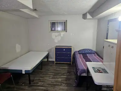Room for rent Private $ Sharing basement Scarborough . 20 min to centennial college morning side and...