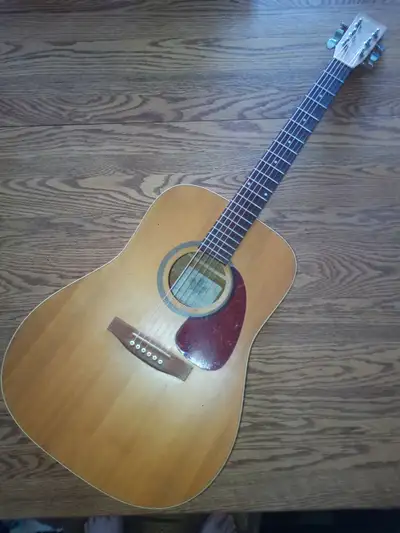 Super nice Norman B20 guitar cleaned and adjusted in geat shape, View more