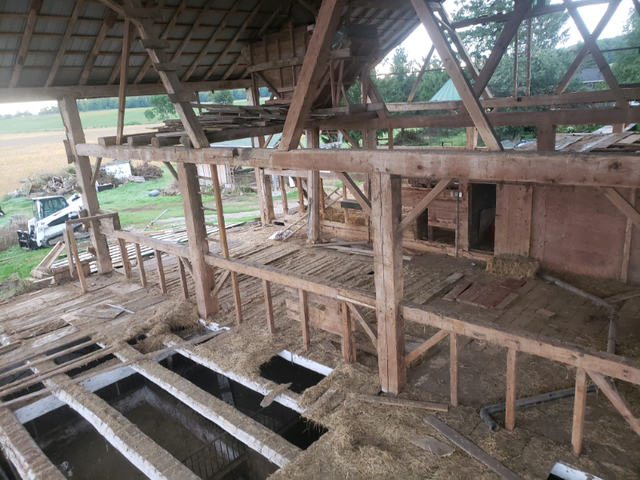 Hand hewn and rough sawn beams in Other in Stratford - Image 9