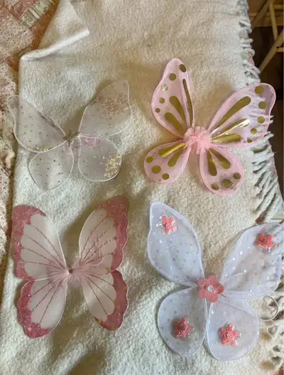 Kid’s Fairy Wings, View more