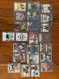 Young guns, Rookie, Autograph, Patch and Numberered hockey cards