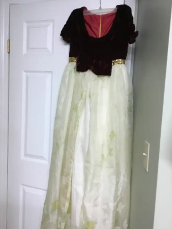 Snow White Dress62863739440003124