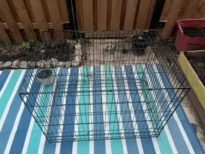 Extra Large Dog Crate. I don't have the dimensions or a way to measure it. It was for my King Shephe...