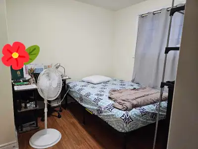Furnished Single Room Available August 1,2026. Fully furnished private room in a shared house with t...