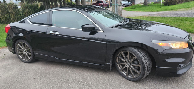 2011 Accord Coupe HFP. in Cars & Trucks in Brockville - Image 2