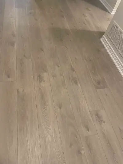hardwood laminate vinyl flooring and painting , View more