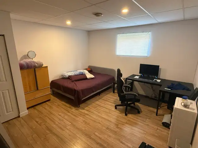A large basement room for rent