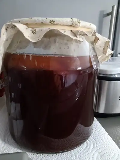 Kombucha, View more