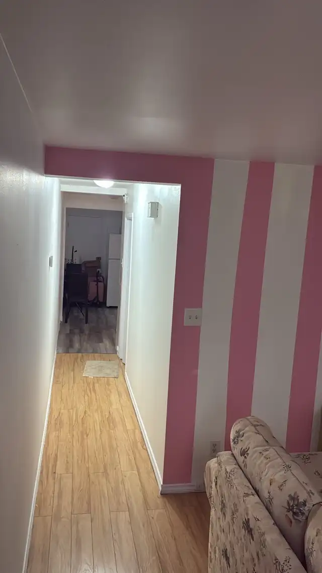 Interior and Exterior Building Painter526209076524503044