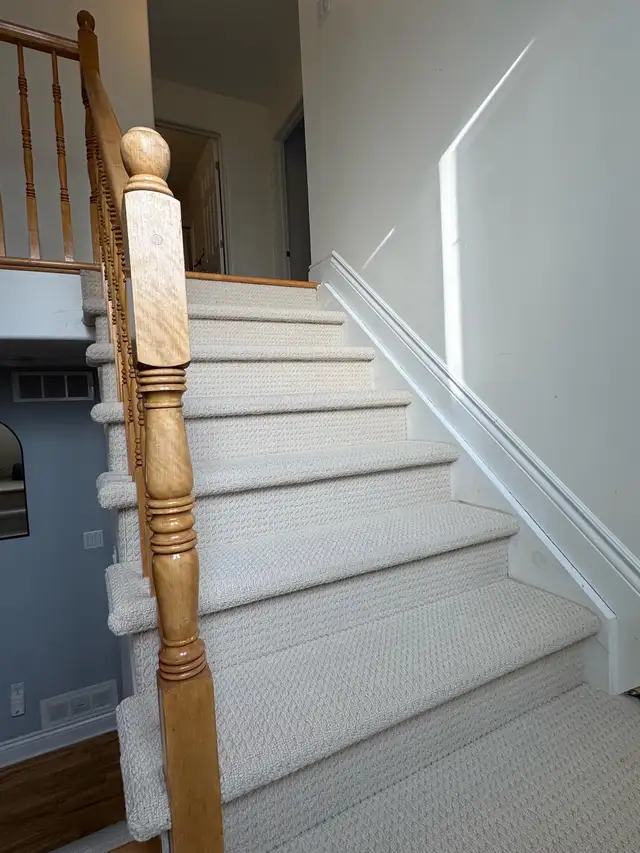 Carpet Installation464605680250408960