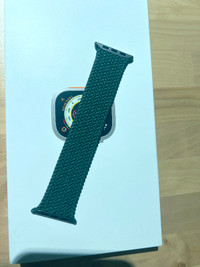 Apple Inverness Green Braided Solo Loop Size 4 44mm Band