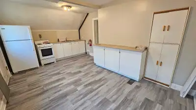 Bright 1 bedroom second floor suite in St. Boniface. This renovated suite features: - Spacious eat-i...