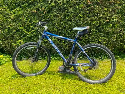 Vélo Giant Iguana, View more
