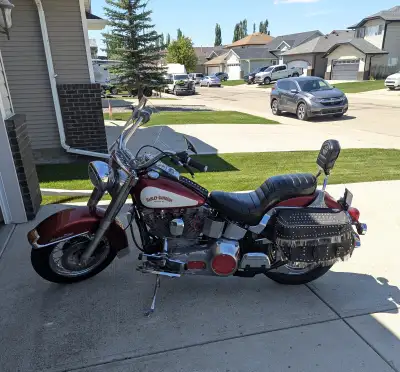 Wow. Ageless. Indestructible. 1990 red and white Harley Davidson FLST. Black leather studded saddleb...