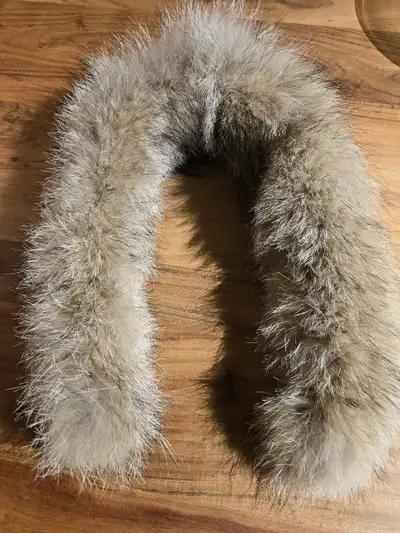 collet de fourrure de coyotte Kanuk( original), View more