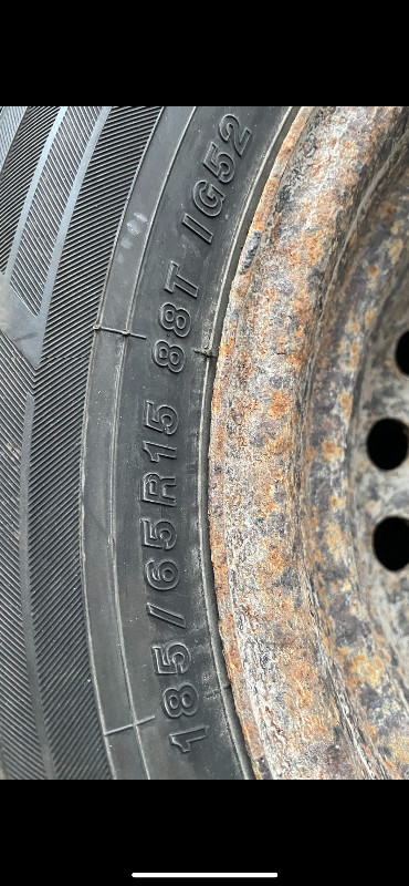 Winter tires on rims. in Tires & Rims in Kingston