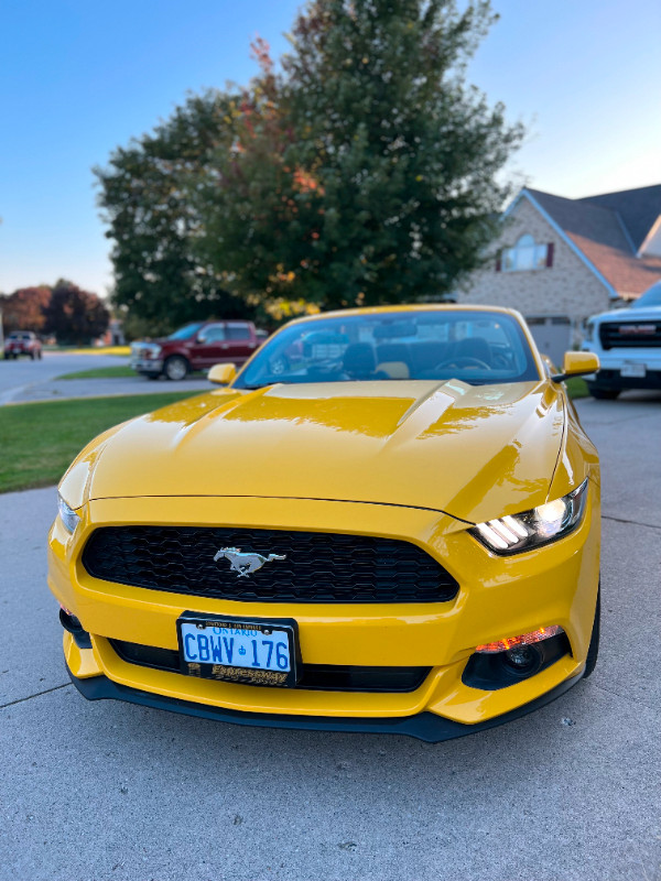 2017 Ford Mustang Yellow in Perfect Condition in Cars & Trucks in Kitchener / Waterloo