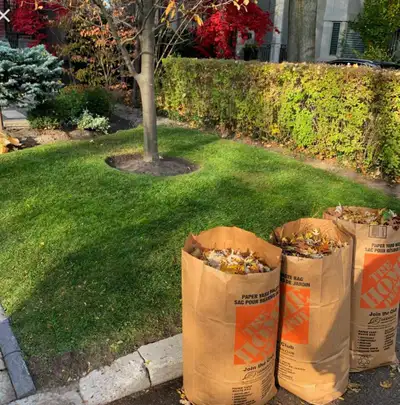Spring Cleanups Available , View more