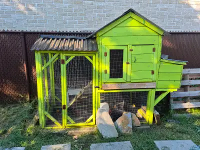 Poulailler en état ( pas neur) Avec 3 poules noires dont 1 qui pond et les 2 autres devraient commen...