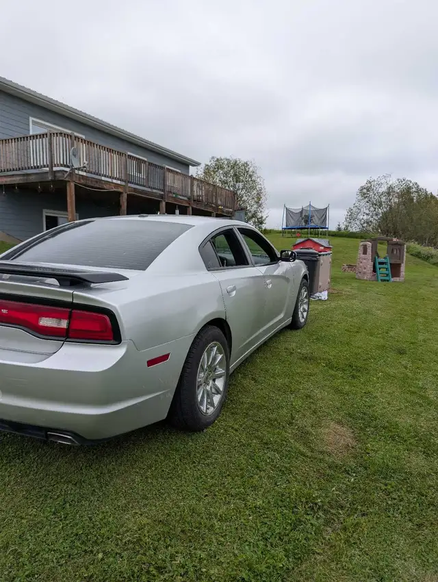 Dodge Charger558375872821340166